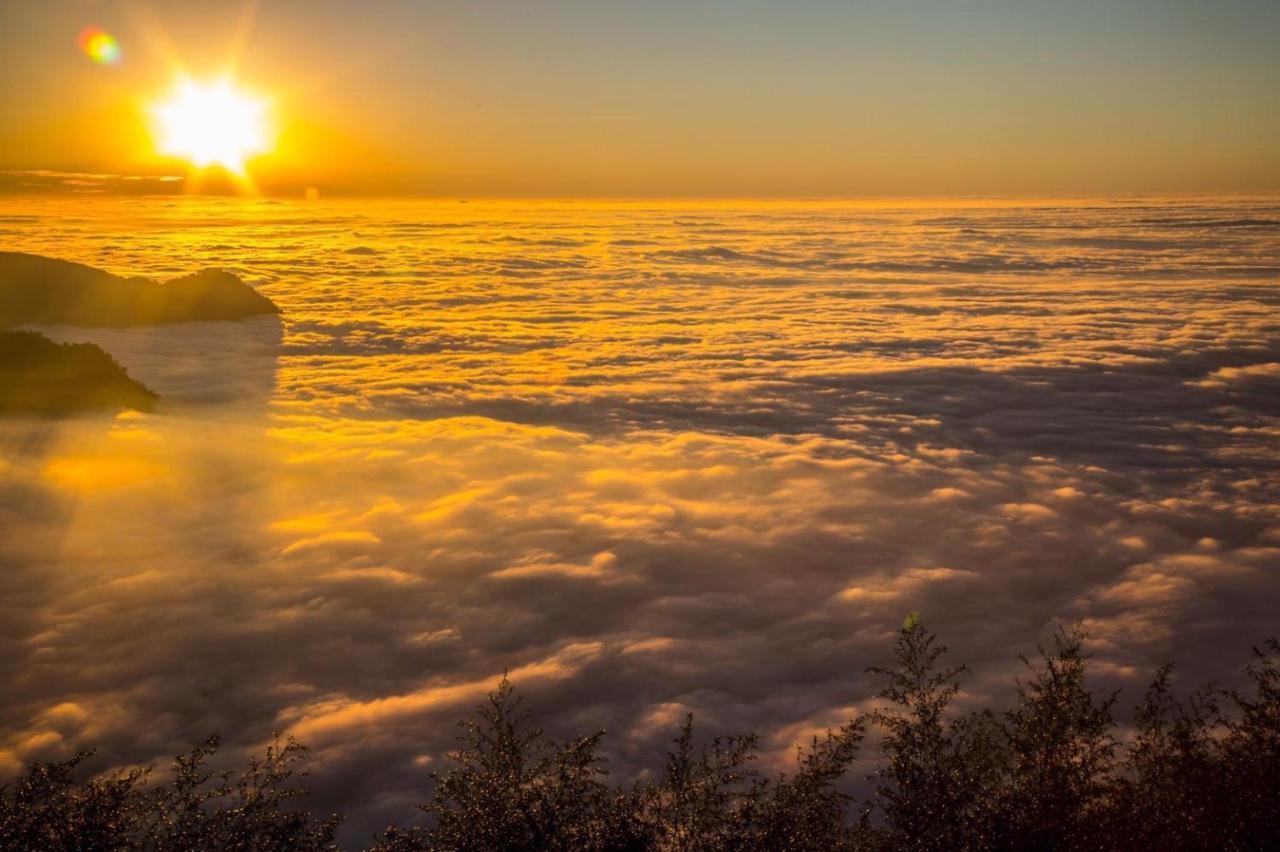 Chuxu Homestay Fanlu Exteriér fotografie